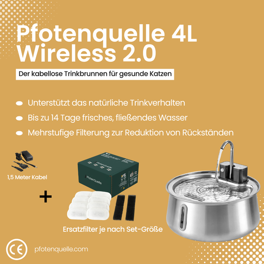 Die Pfotenquelle 4L 2.0
