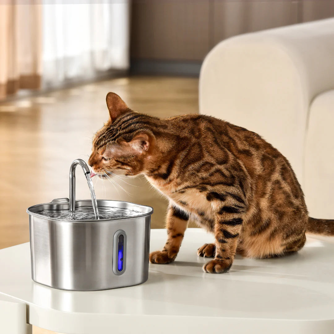 Die Pfotenquelle Compact 2,2L