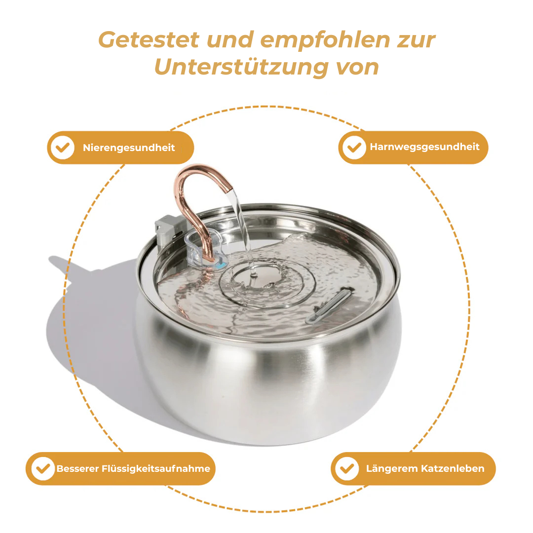 Die Pfotenquelle 4L