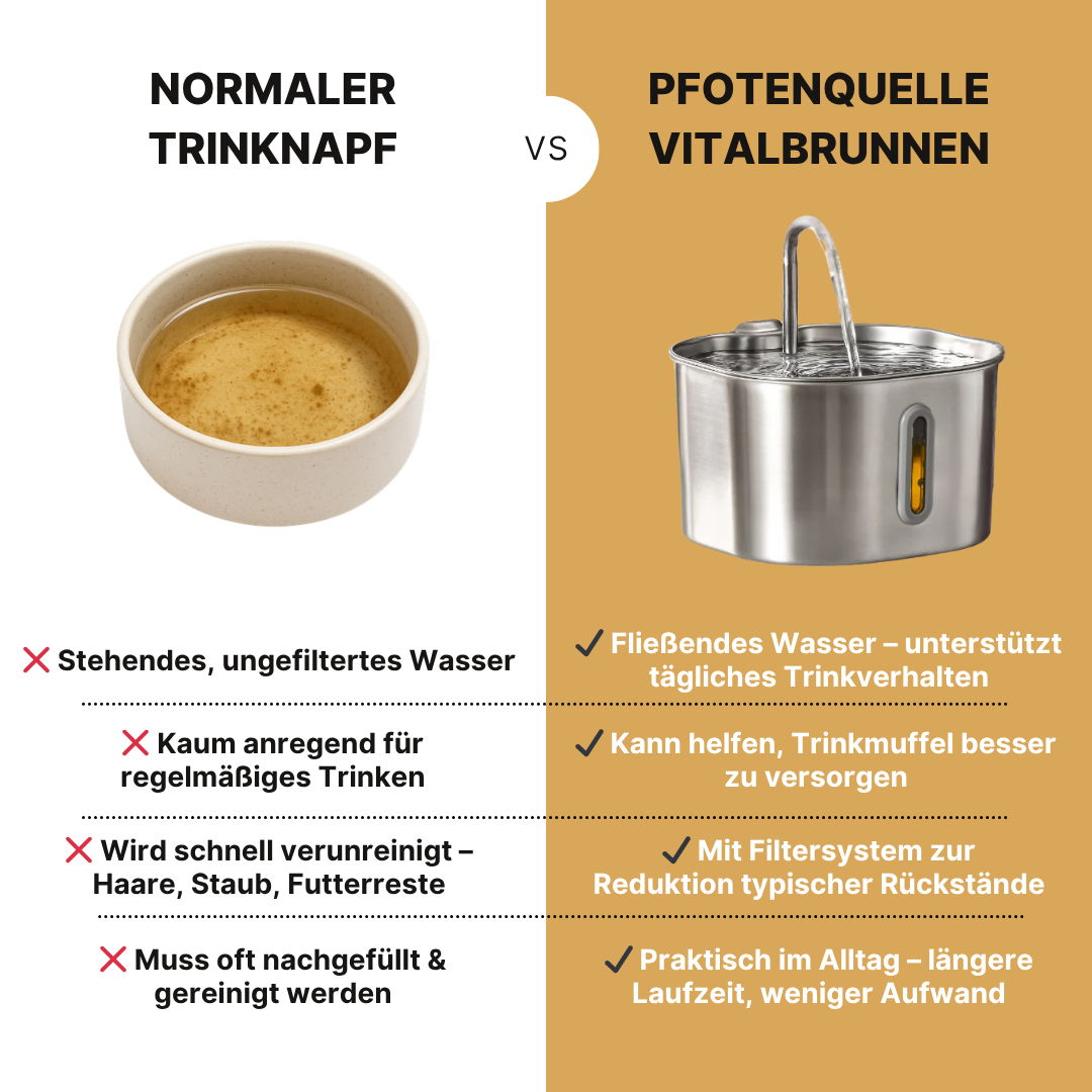 Die Pfotenquelle Compact 2,2L