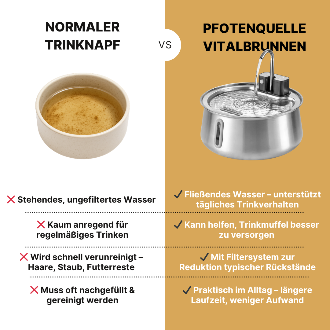 Die Pfotenquelle 4L 2.0