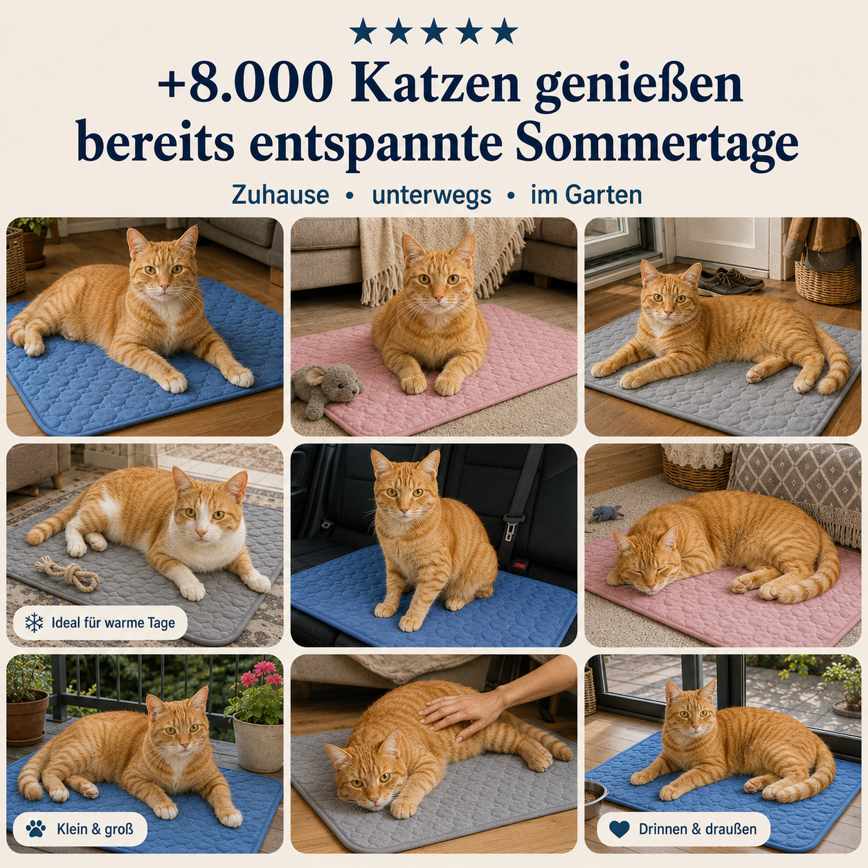 Pfotenquelle Kühlmatte für Katzen 2-für-1
