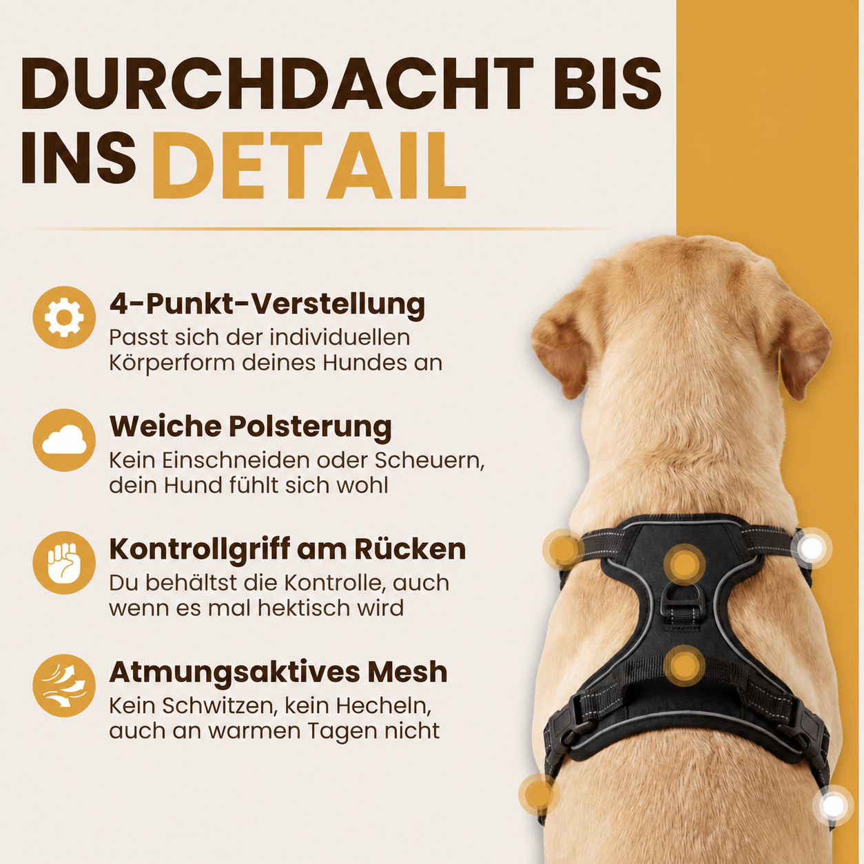 Pfotenquelle Anti-Zieh-Geschirr