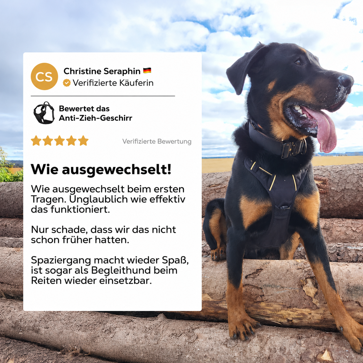 Pfotenquelle Anti-Zieh-Geschirr