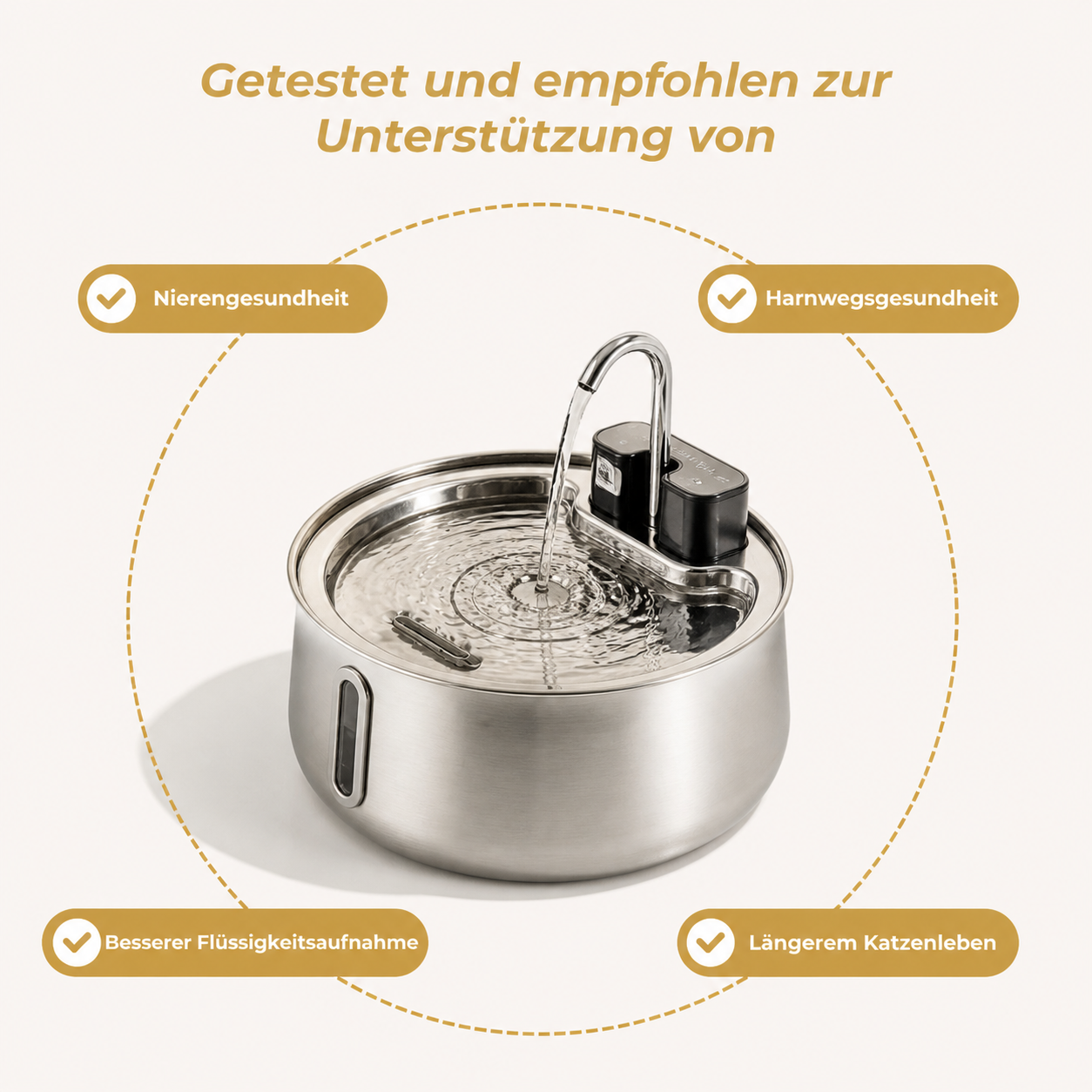 Die Pfotenquelle 4L 2.0