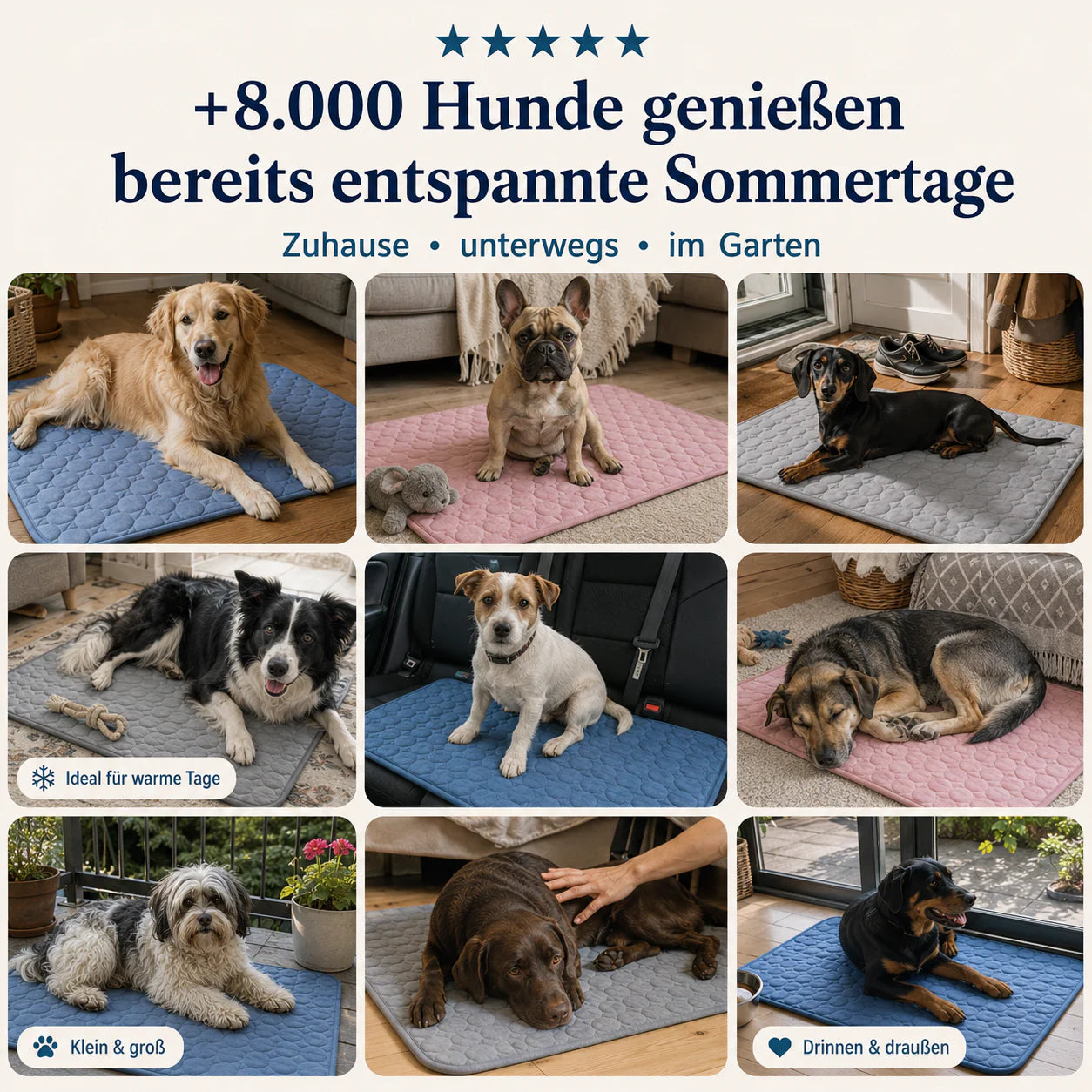 Pfotenquelle Kühlmatte für Hunde 2-für-1
